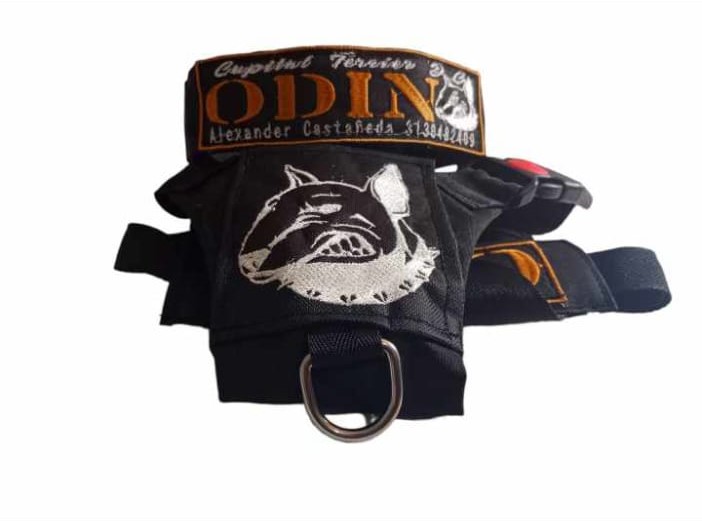 WhatsApp Image 2023-10-18 at 08.48.05 (3)