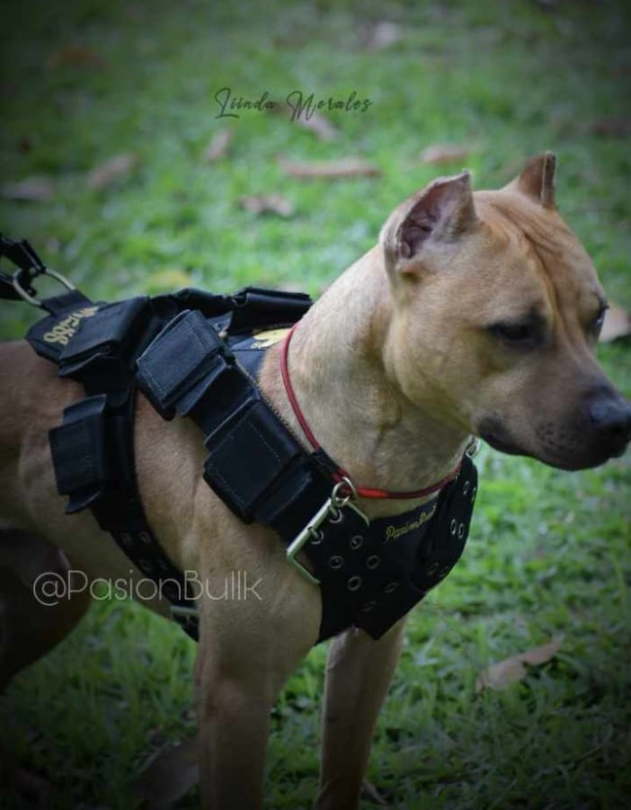 WhatsApp Image 2023-10-18 at 08.48.06 (3)