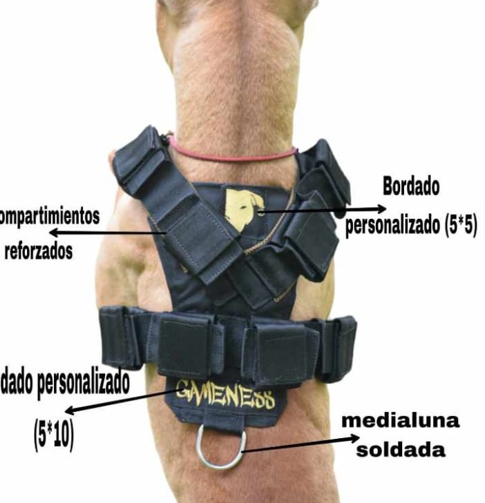 WhatsApp Image 2023-10-18 at 08.48.06 (4)