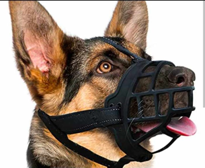 WhatsApp Image 2023-10-18 at 08.48.06