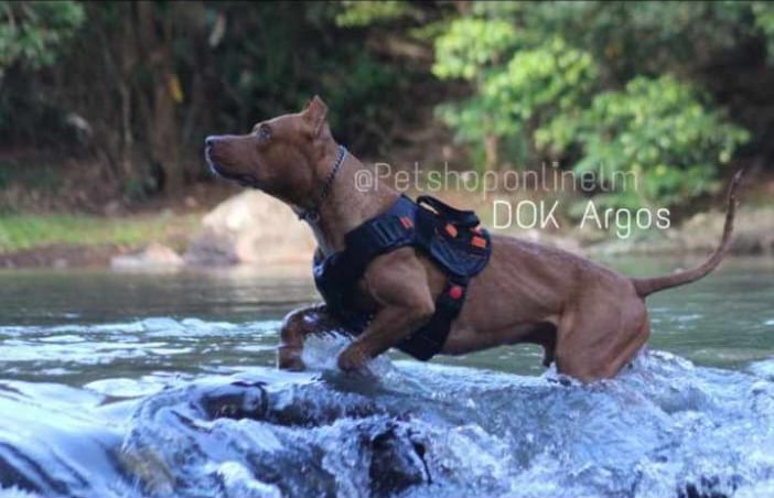 WhatsApp Image 2023-10-18 at 08.48.08 (4)