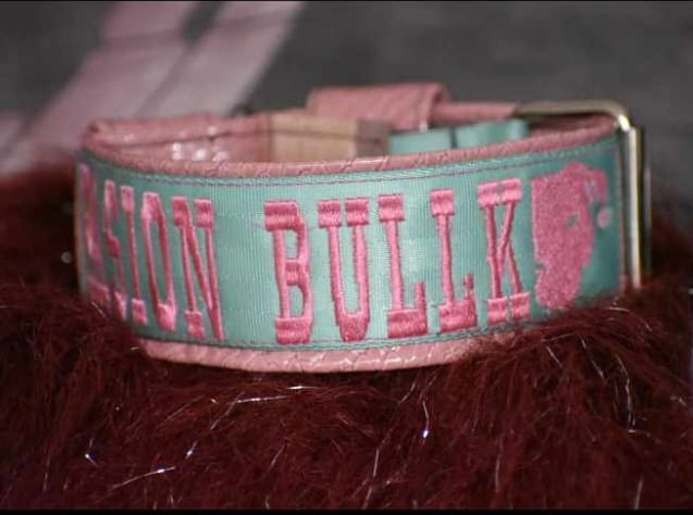 WhatsApp Image 2023-10-18 at 08.48.08 (5)