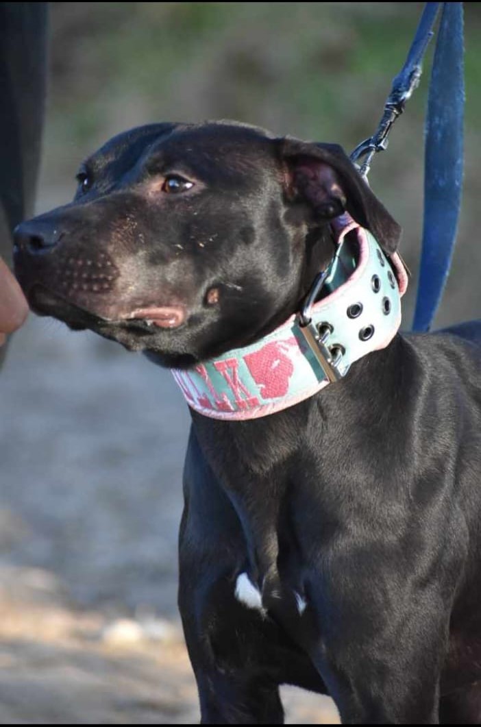 WhatsApp Image 2023-10-18 at 08.48.09 (3)