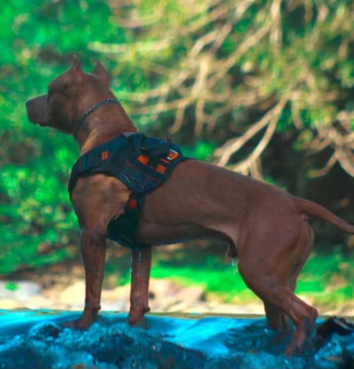 WhatsApp Image 2023-10-18 at 08.48.09 (4)