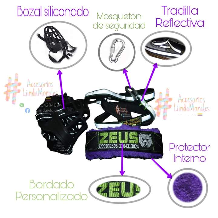 WhatsApp Image 2023-10-18 at 08.48.09 (5)